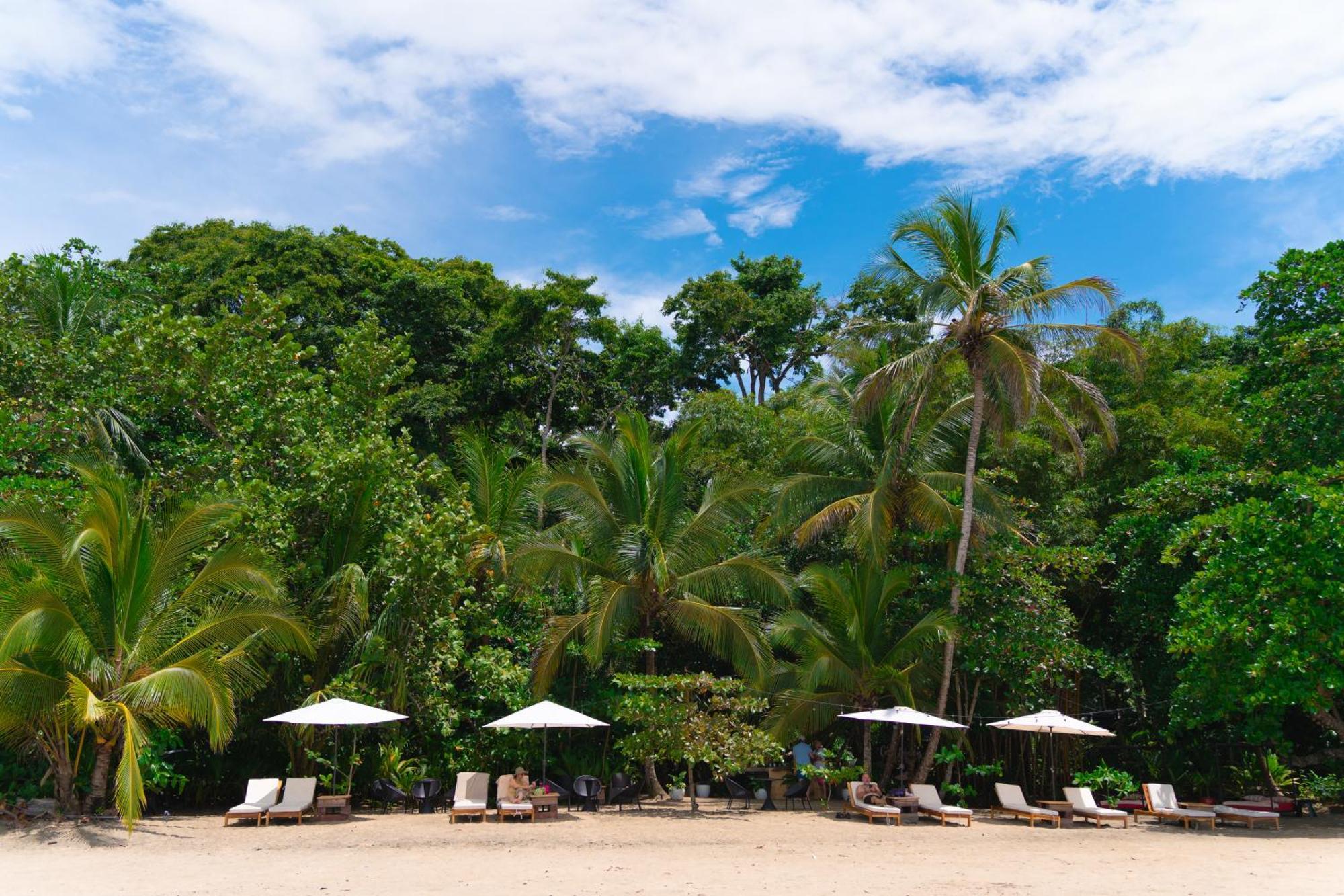 Awa Beach Hotel Puerto Viejo de Talamanca Exterior foto